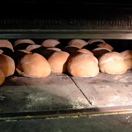 Urlaub Im Herrenholz *