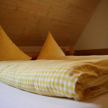 Lejlighed Urlaub Im Herrenholz Zell am Harmersbach